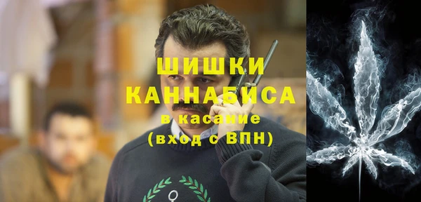 твердый Козельск