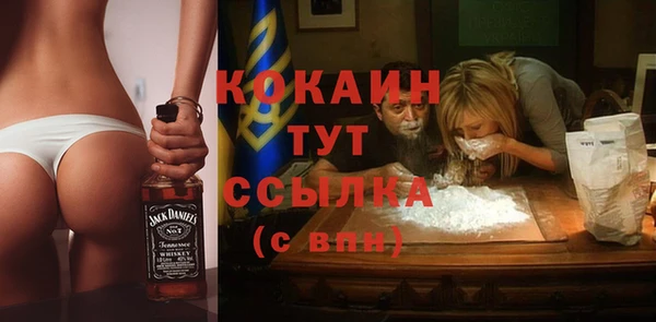 твердый Козельск