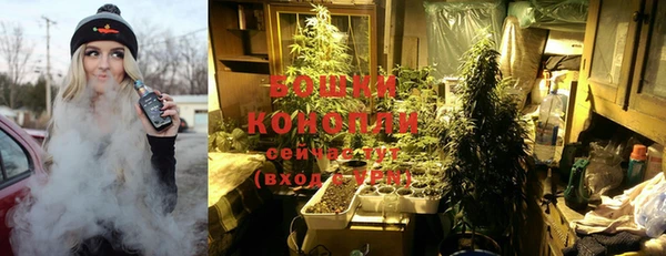 твердый Козельск