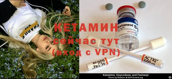 твердый Козельск