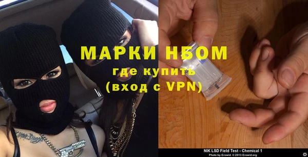твердый Козельск