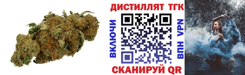Купить  Гдов  ТГК концентрат 