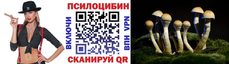 Псилоцибиновые грибы MAGIC MUSHROOMS  Купить где  Гдов 